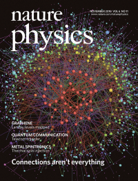 Image result for nature physics cover november 2010